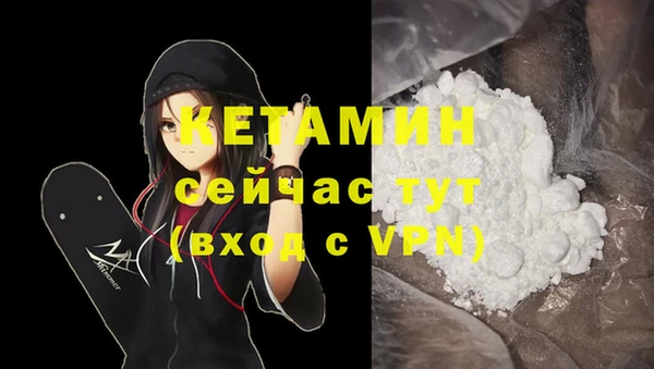 дживик Абаза