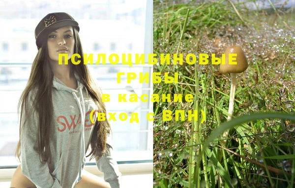 круглые Алексеевка