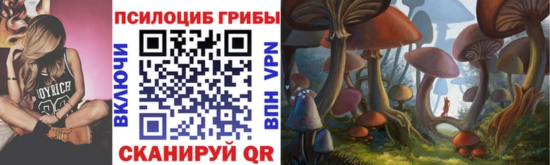 дарк нет как зайти  Хасавюрт  Псилоцибиновые грибы мицелий 